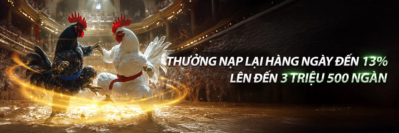Hình ảnh chính về Trách nhiệm cờ bạc của lb555